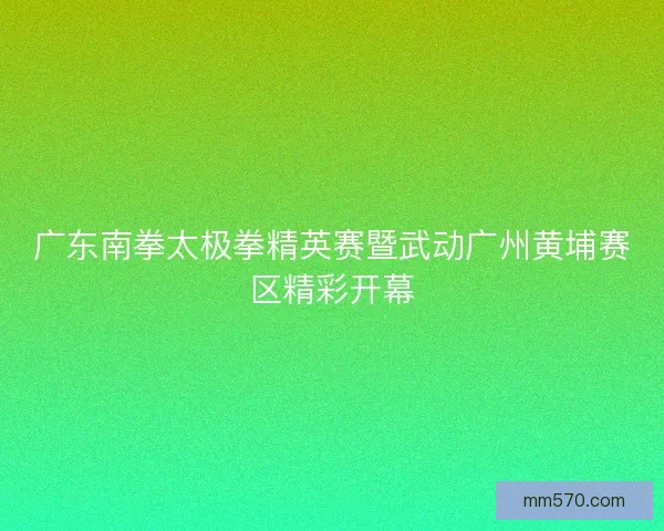 广东南拳太极拳精英赛暨武动广州黄埔赛区精彩开幕